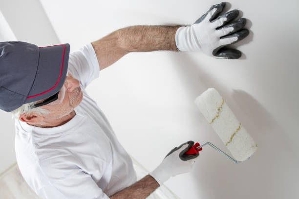 Best Mold Odor Removal Services  in South Alamo, TX