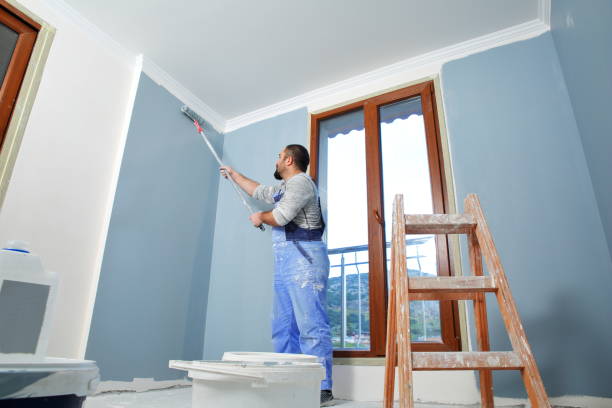 Best Residential Mold Inspection & Testing  in South Alamo, TX