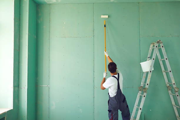 Trusted South Alamo, TX Mold Removal Experts
