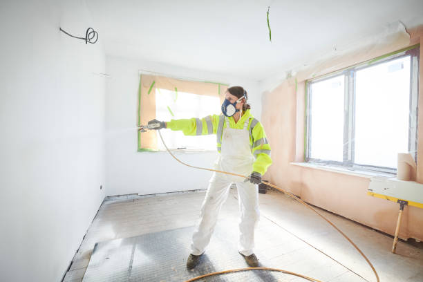 Best Basement Mold Removal  in South Alamo, TX