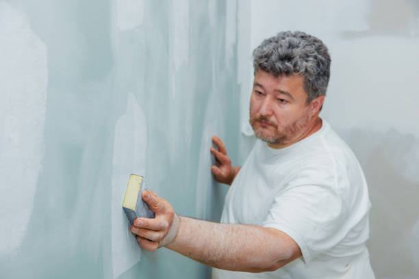 Best Dehumidification Services  in South Alamo, TX
