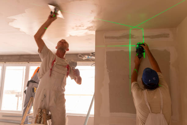  South Alamo, TX Mold Removal Pros