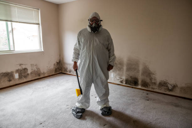 Best HVAC Mold Inspection and Cleaning  in South Alamo, TX